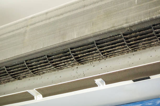 Best HVAC System Cleaning  in Winchester, MO